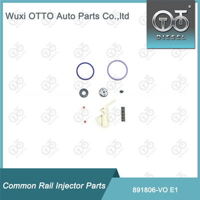 Common Rail Fuel Injector Repair Kit 891806-Vo E1 for E1 Injector With Plug