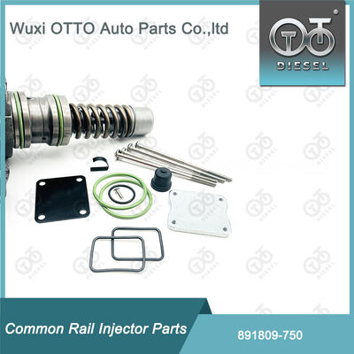 Fuel Injector Repair Kits 891809-750 for 750 Bosch Single-Plunger Pump