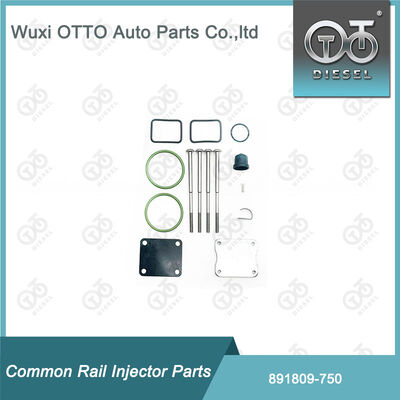 Fuel Injector Repair Kits 891809-750 for 750 Bosch Single-Plunger Pump