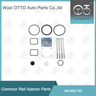 Diesel Fuel Pump Repair Kit 891809-755 for Bosch-Unit Pump 755