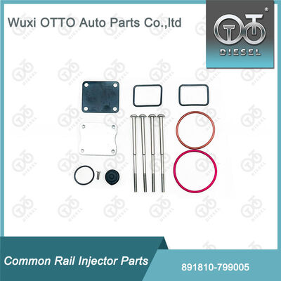 Fuel Injector Repair Kits 891810-799005 for 799 Single-Plunger Pump