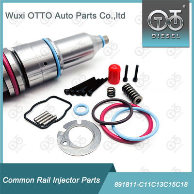 Fuel Injector Repair Kits 891811-C11c13c15c18 for C11 / C13 / 15 / 18 Series Fuel Injectors