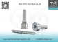 L157PRD/PBD Delphi Nozzle For Common Rail Injectors R04701D /A 6640170221