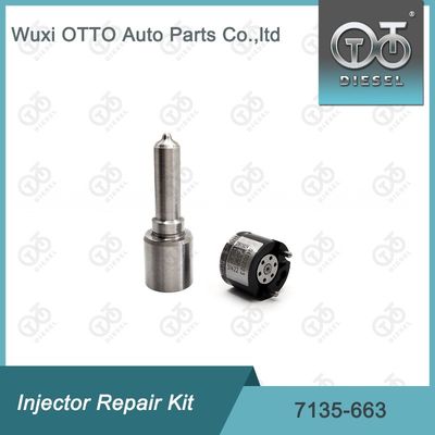 7135-663 Delphi Injector Repair Kit Nozzle-Valve Kit Nozzle-CVA Kit